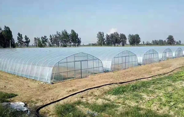 必发·bifa(中国)唯一官方网站